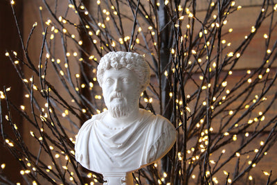 Ancient Roman Sculpture – Immortality through Statues