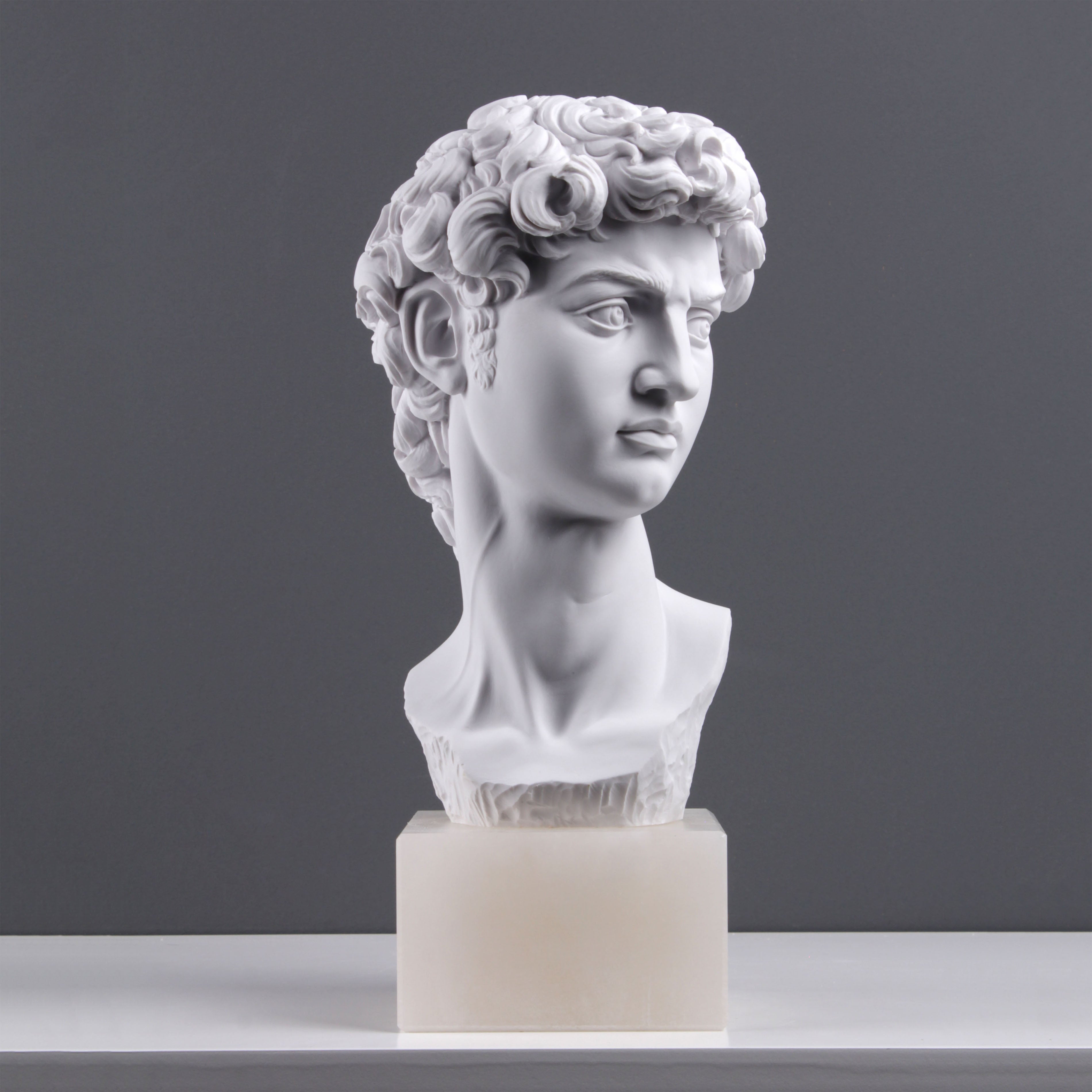 The Statue Of David Face Michelangelo At The Met 34th Street the-statue-of-david-face-michelangelo-at-the-met-34th-street