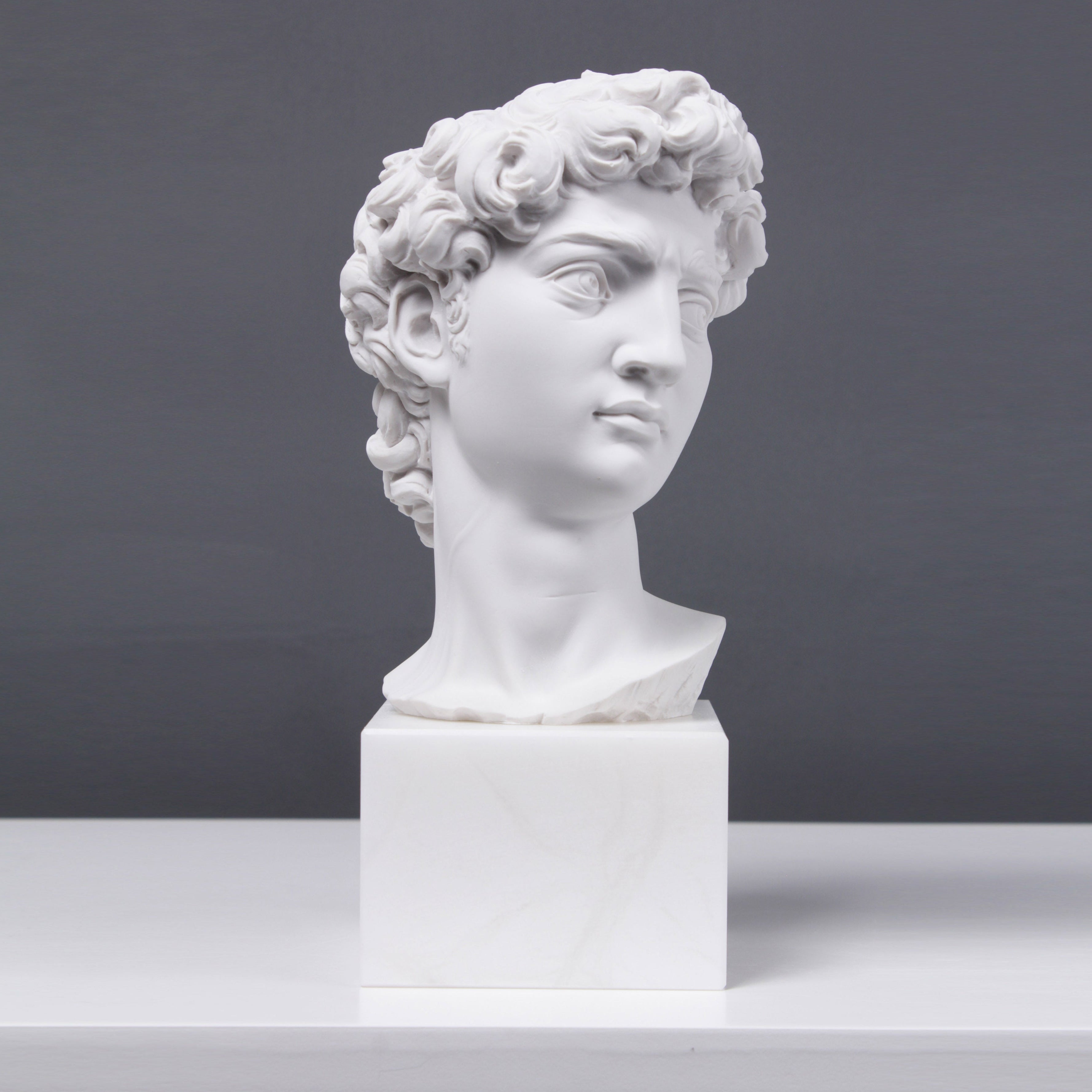 Buste David van Michelangelo op marmer sokkel - Composito, - Catawiki Buste David van Michelangelo op marmer sokkel - Composito, - Catawiki