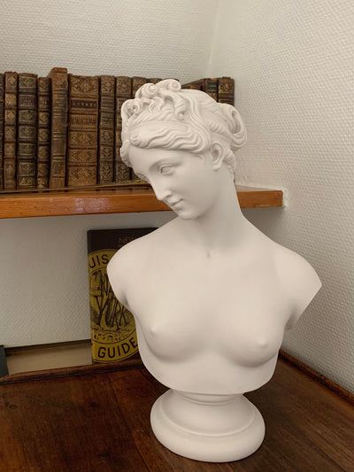 Venus Bust Sculpture - Goddess of Love