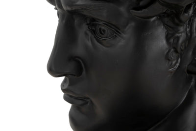 Black David Head Statue ( Resin Sculpture by Michelangelo)