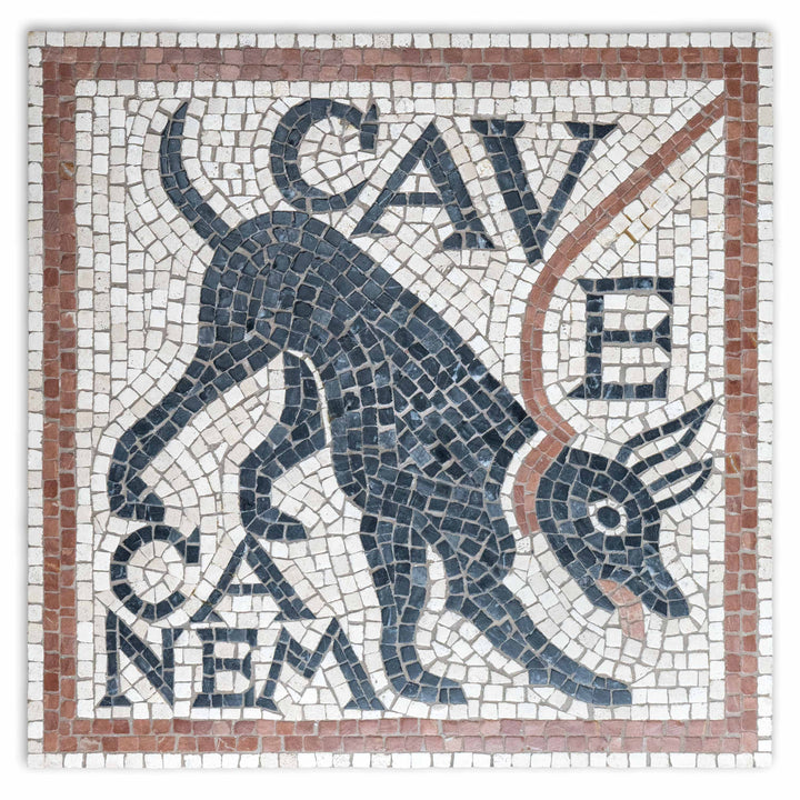西LP Canem Cave Canem DMC1 DI FUSIO MEDITERRANIA /00260 Cave Canem Mosaic marble stone handmade Roman custom personalized