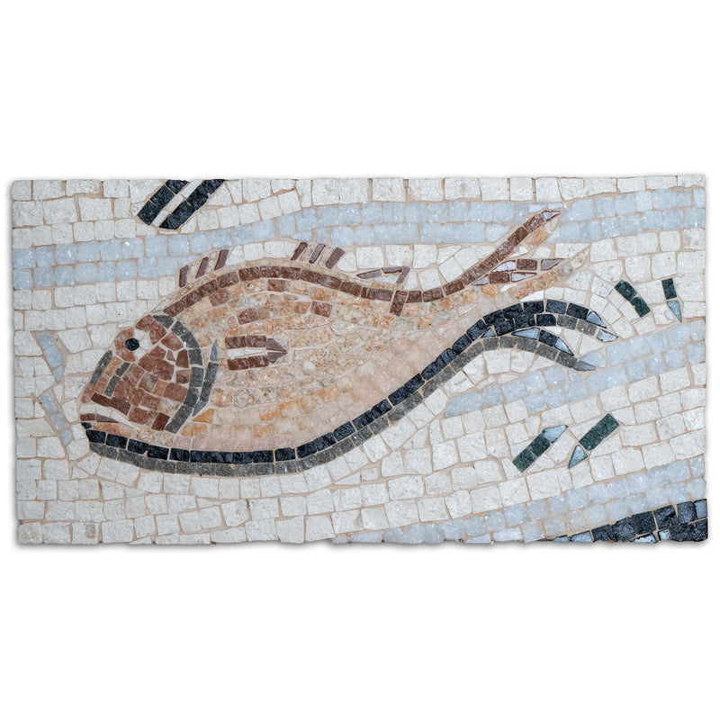 Fish Marble Mosaic &