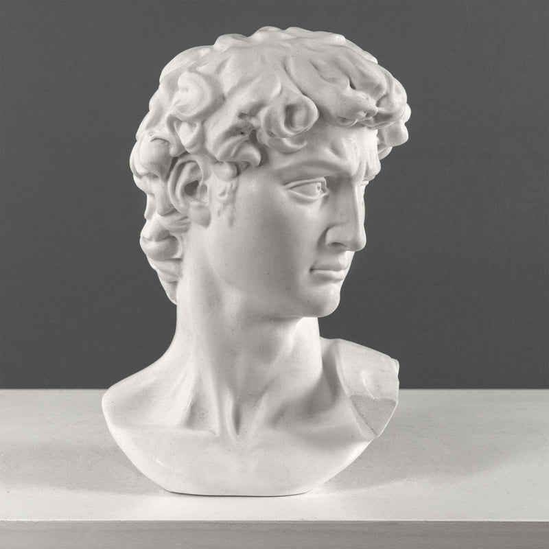 David Bust By Michelangelo (Large)