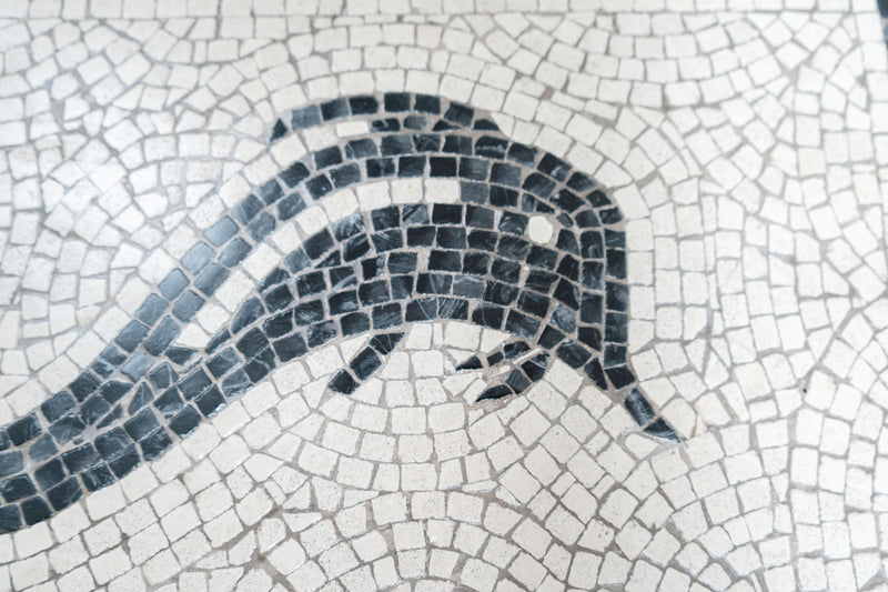 Dolphin Mosaic