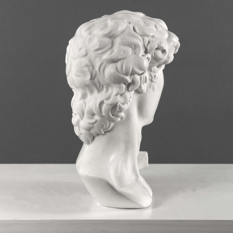 David Bust By Michelangelo (Large)