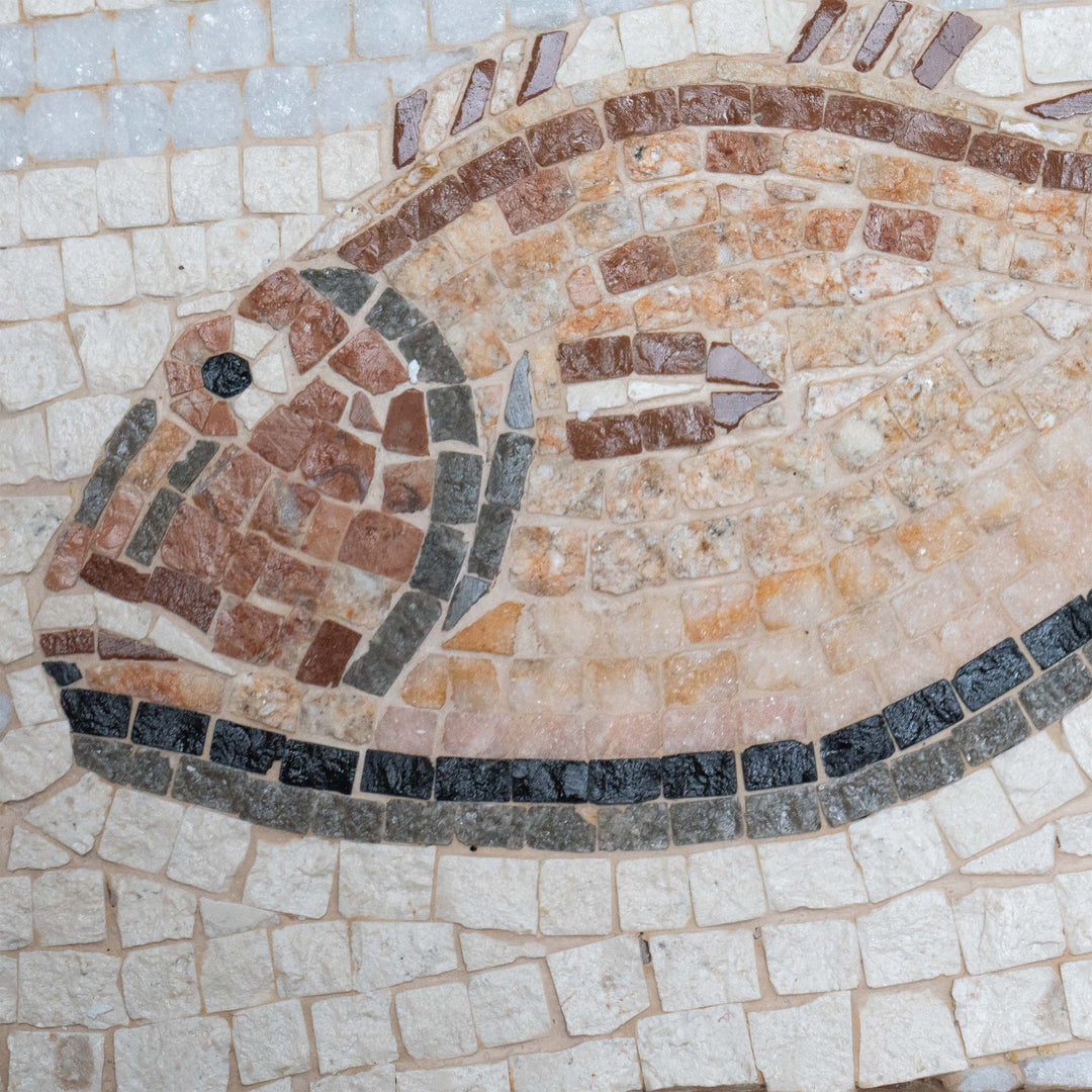 Fountain Rome Fish Ancient Rome Fish Mosaics
