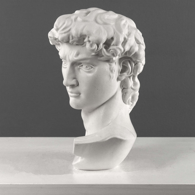 David Bust By Michelangelo (Large)