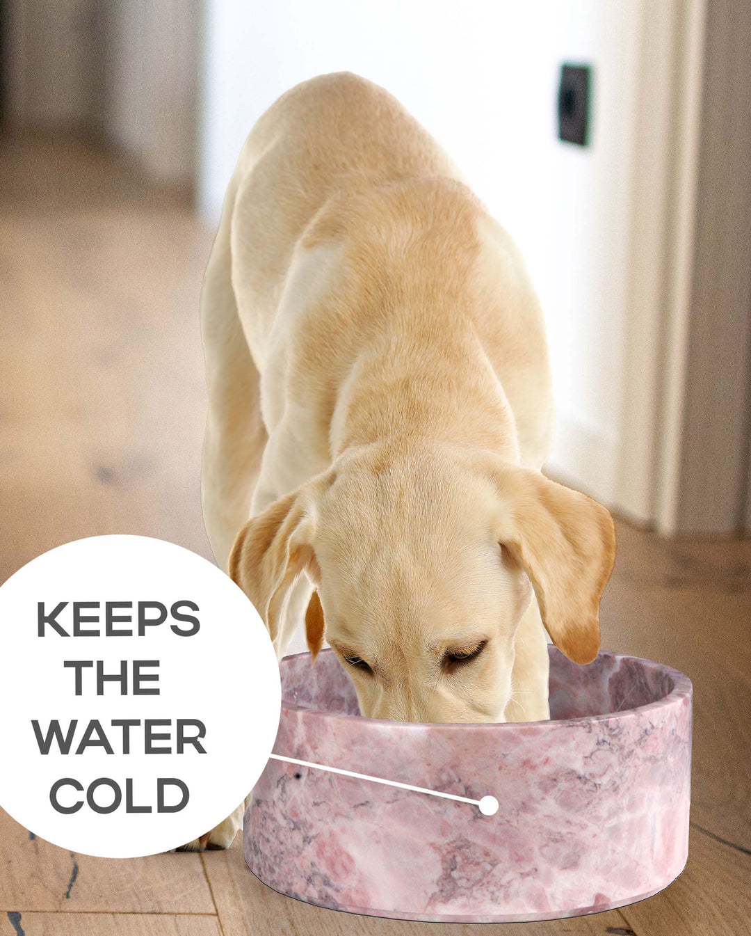 Marble fashion dog food bowl