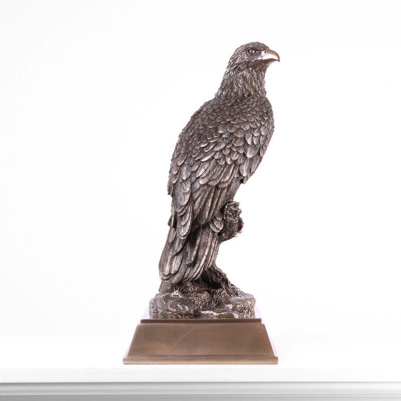 Eagle Bronze Statue (Cold Cast Bronze Animal Sculpture)