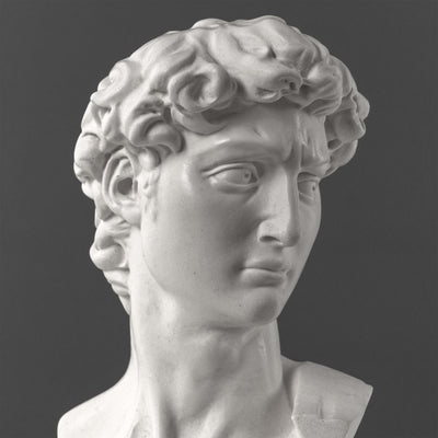 David Bust By Michelangelo (Large)