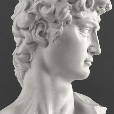 David Bust By Michelangelo (Large)