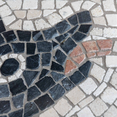 Cave Canem Mosaic