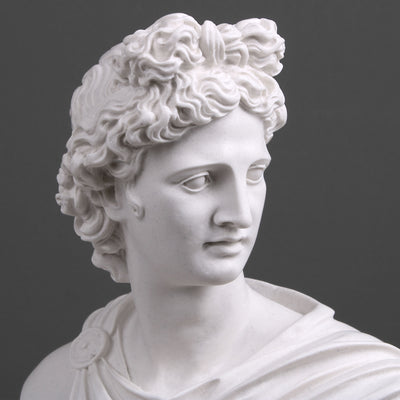 Apollo Bust Statue (God Statue)