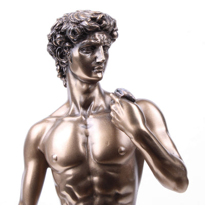 David Sculpture in Bronze (By Michelangelo - Cold Cast Bronze Statue)