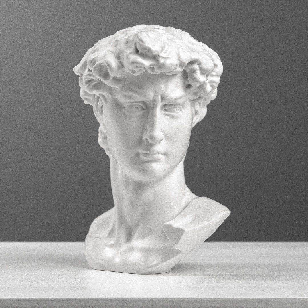 David Bust By Michelangelo (Small), image size:1080x1080