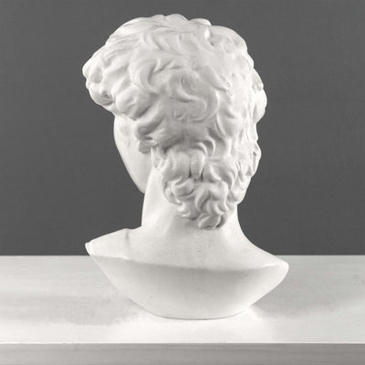 David Bust By Michelangelo (Large)