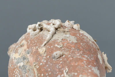 'Jordan' Sea Amphora