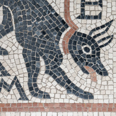 Cave Canem Mosaic