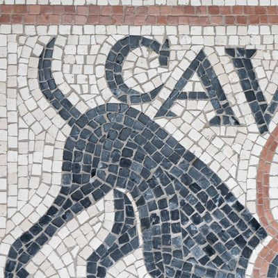 Cave Canem Mosaic