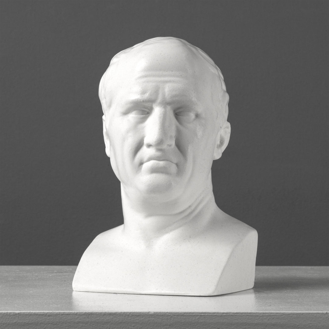 Bust of Marcus Tullius Cicero in the Capitoline Museums