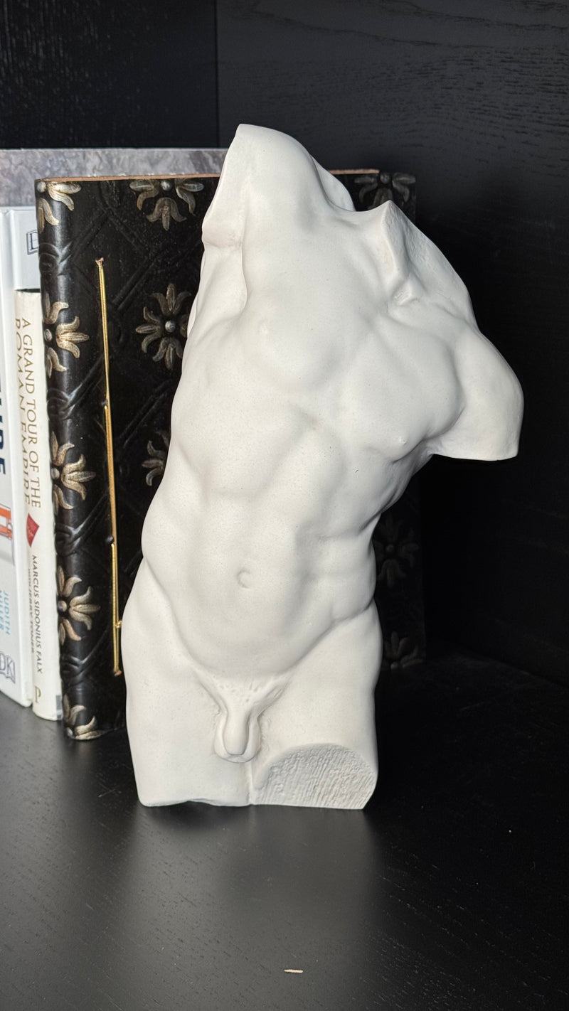 Adonis Statue - Study of a Male Torso (Small)