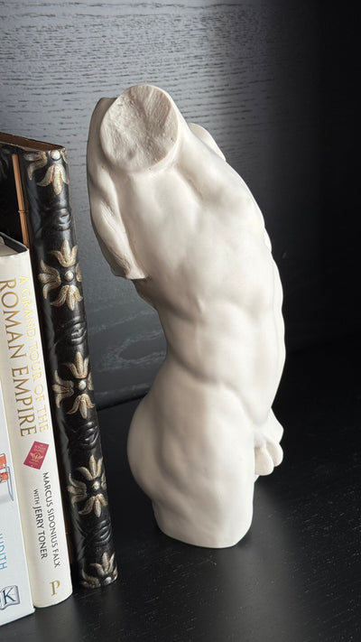 Adonis Statue - Study of a Male Torso (Small)