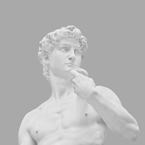 Gray Cushion Cover - Michelangelo David
