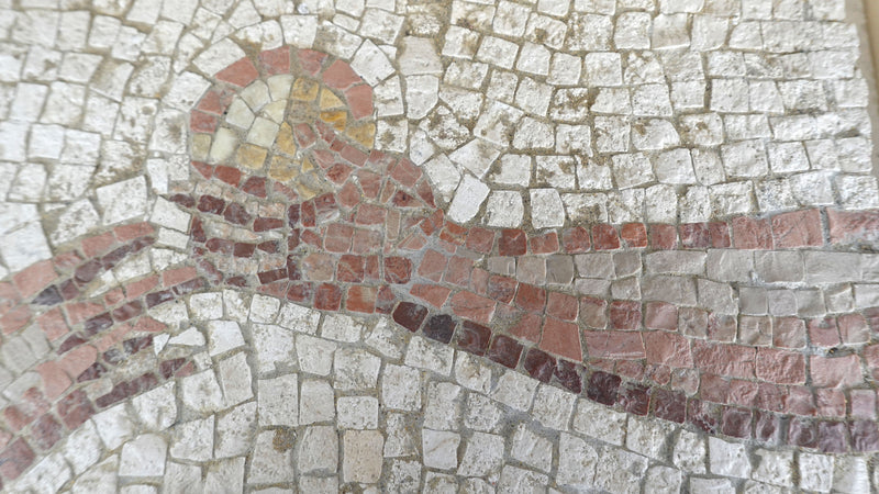 The Golden Apple - Mosaic Fragment