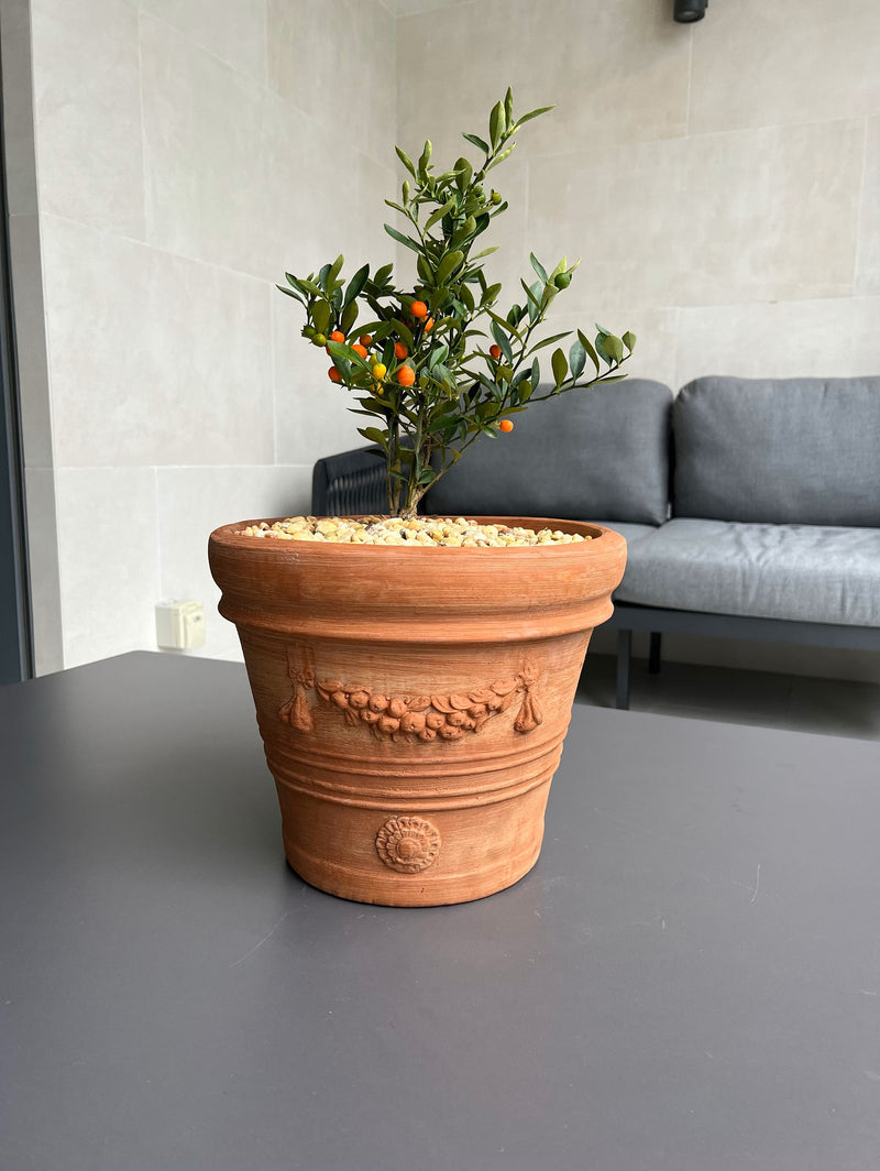Medium Terracotta Planter