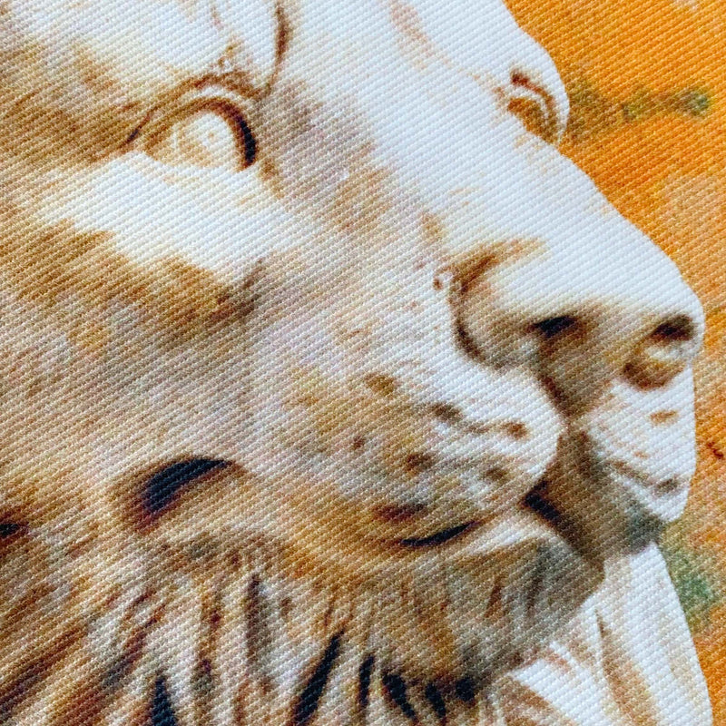 Cushion Cover with Lion Print