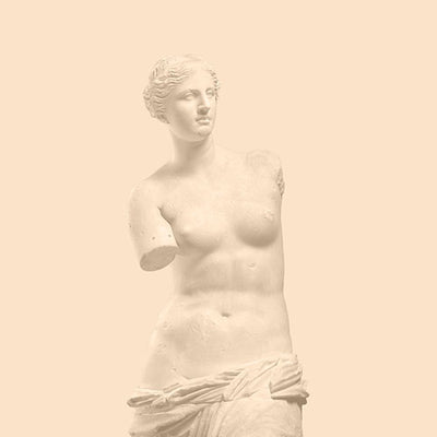 Venus de Milo Cushion Cover