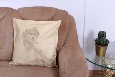 Gray Cushion Cover - Michelangelo David