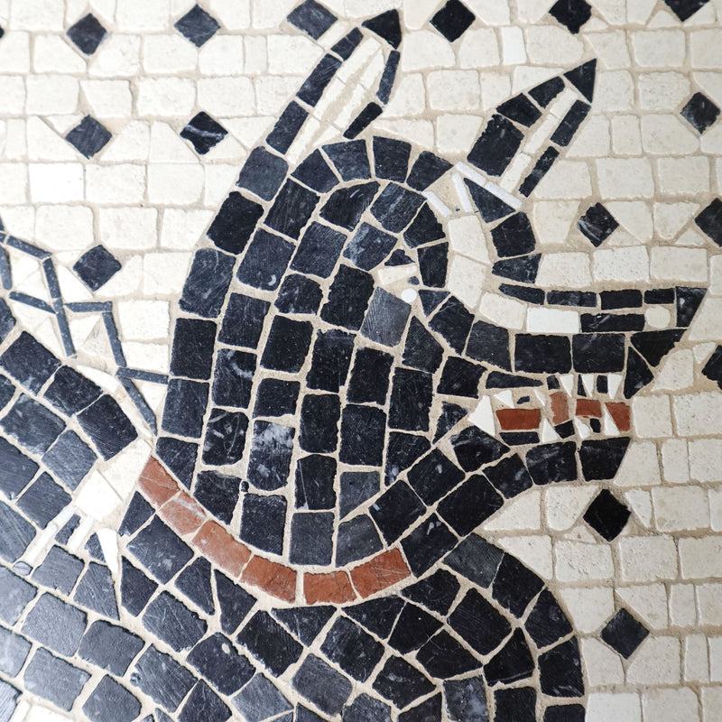 Cave Canem Mosaic