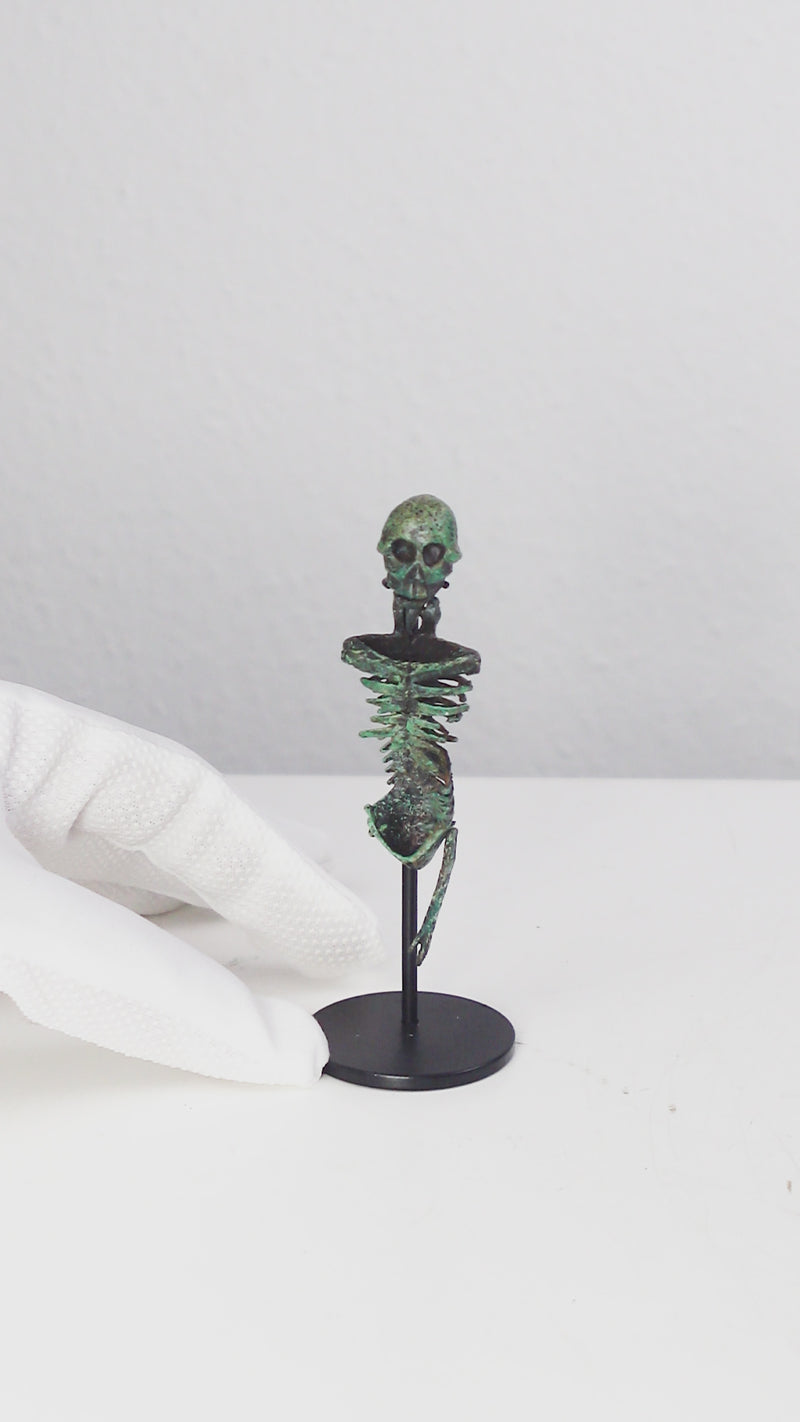 Roman Skeleton Statue - Larva Convivalis Memento Mori Sculpture (Cold Cast Bronze)