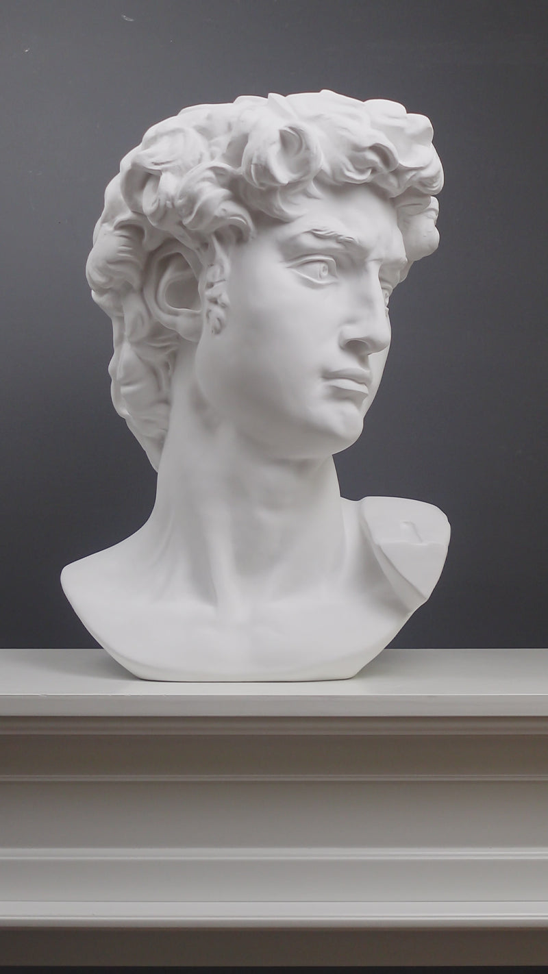 David Head Statue (White Resin Sculpture by Michelangelo)