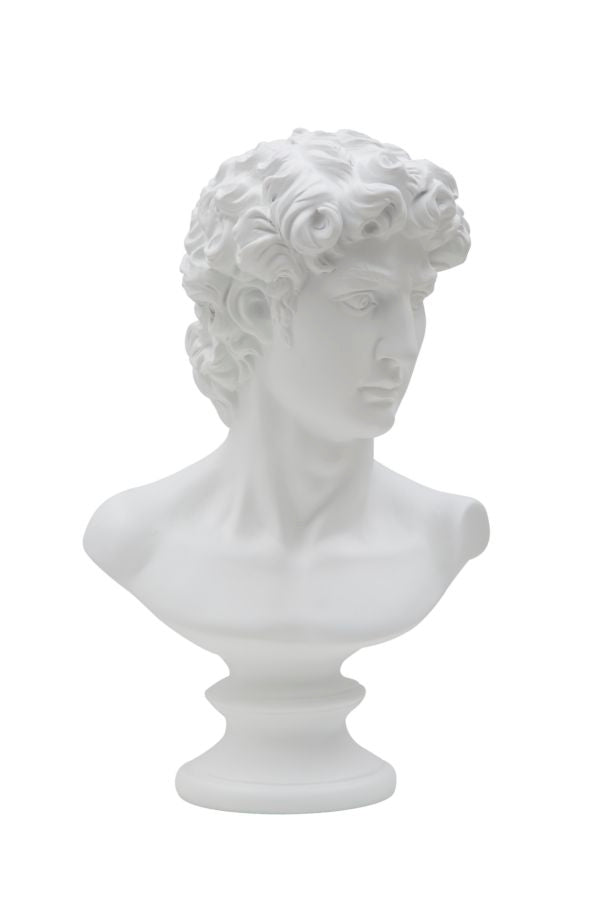 David Bust Statue (White Resin Sculpture)