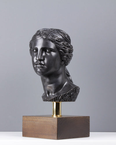 Bust of Aphrodite - Olympian God (Bronze) 