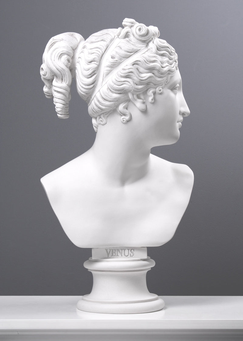 Venus Bust Sculpture - Goddess of Love (Large)