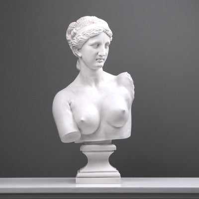 Contemporary Aphrodite Bust Sculpture