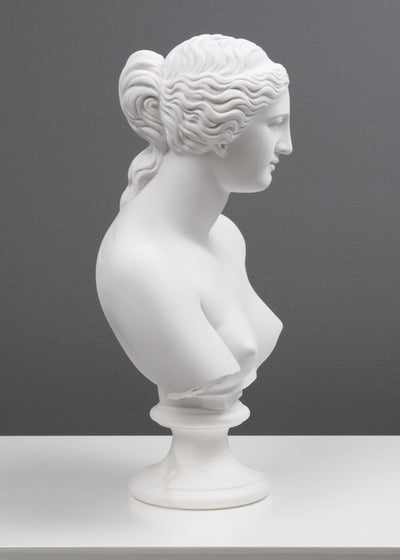 Bust of Venus de Milo