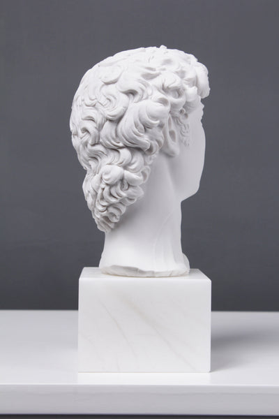 David Bust (By Michelangelo)