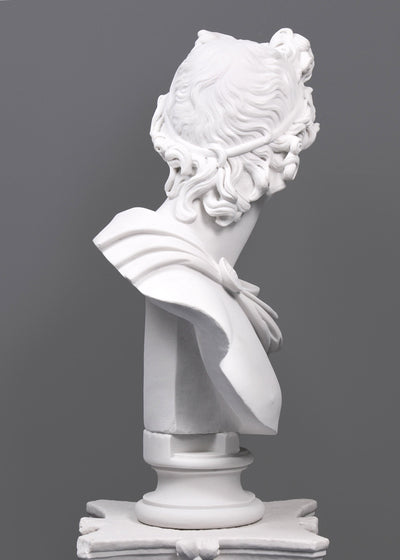Apollo Belvedere Bust