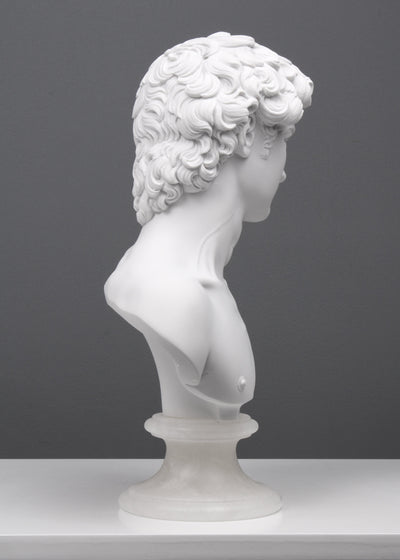Bust of Michelangelo's David Statue