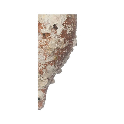 'Italica' Ancient Sea Amphora