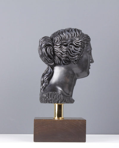Bust of Aphrodite - Olympian God (Bronze) 