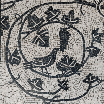 Vine in the Krater Mosaic