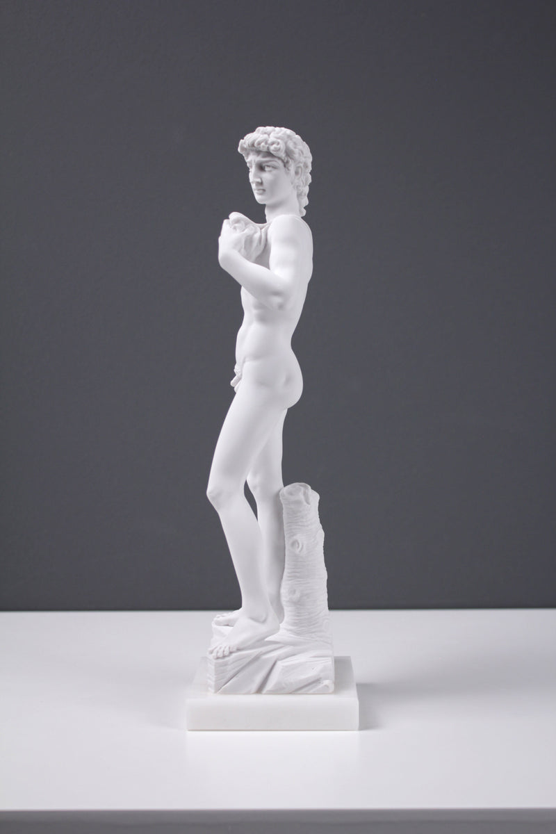 Michelangelo David Statue