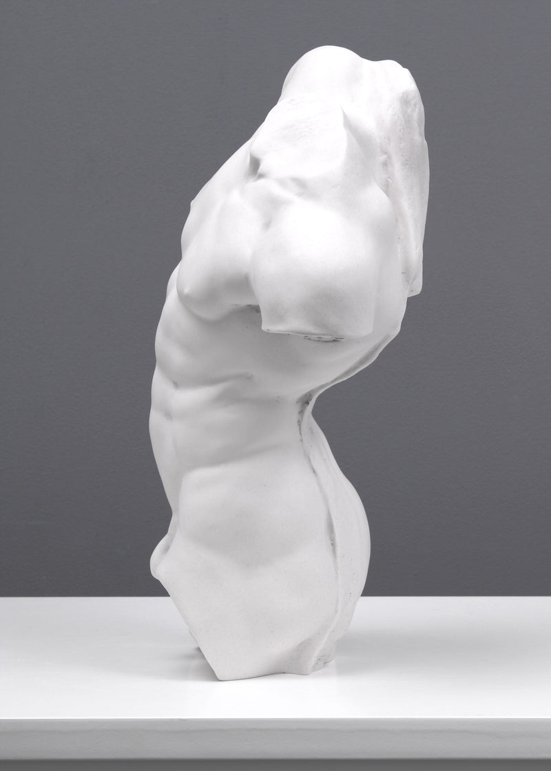 Adonis Statue - Study of a Male Torso (Small)