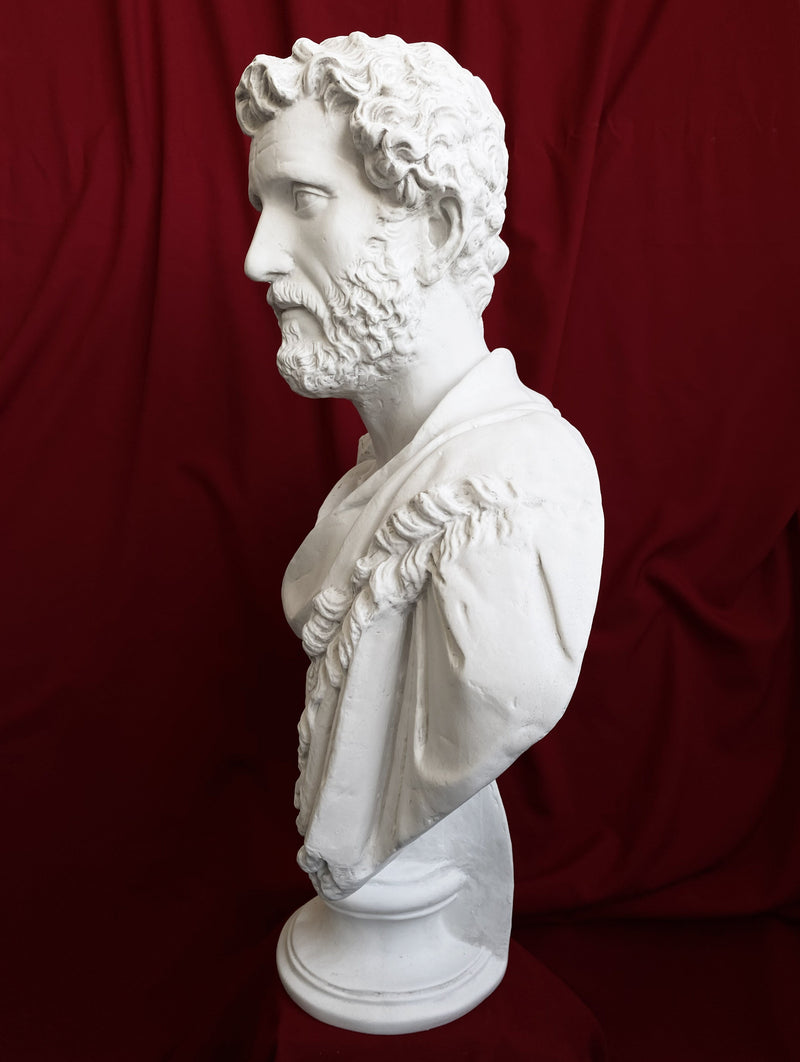 Antoninus Pius Bust Sculpture - Roman Emperor